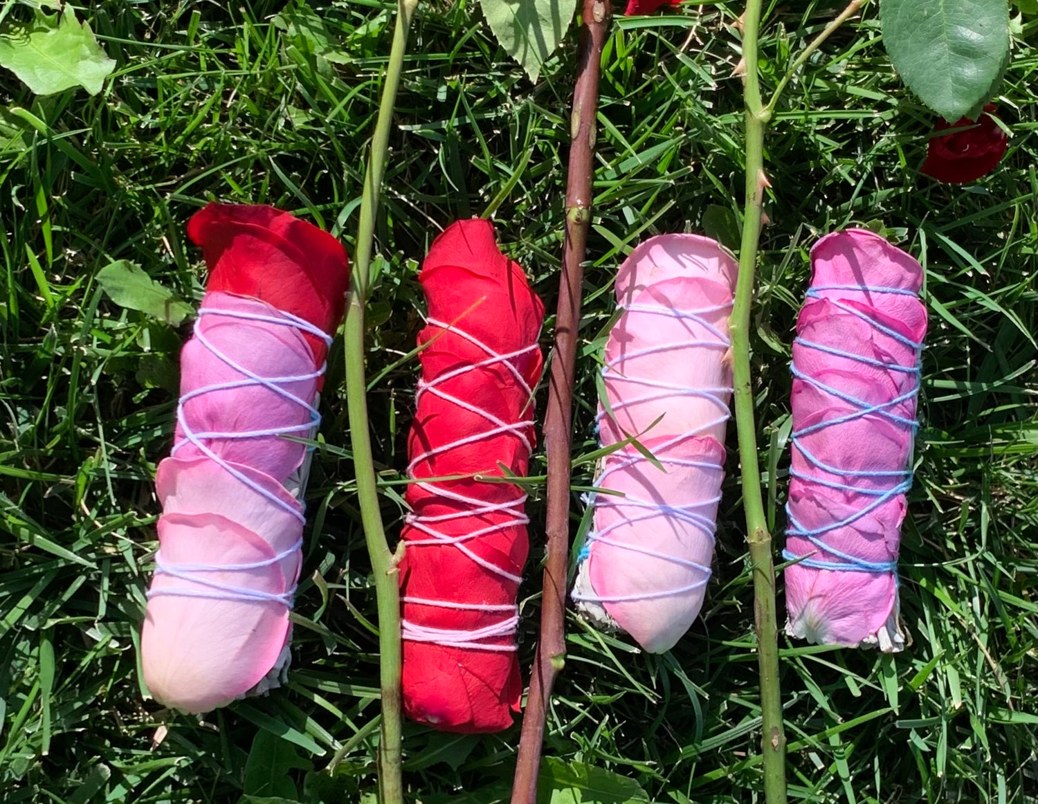Rose Sage collection